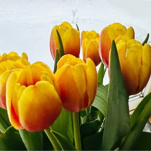 Meet your Posher, Deb - Picture 2 of 2